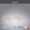 Suspension Leuchten Direkt CURLS LED Laiton, 4 lumières