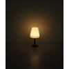 Lampe de table Globo SOLAR LED Noir, 8 lumières, Changeur de couleurs