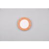 Plafonnier Reality Camillus LED Couleur bois, Blanc, 1 lumière