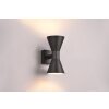 Applique murale d'extérieur Trio Ardas Noir, 2 lumières