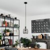 Suspension Kenong Noir, 1 lumière