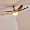 Ventilateurs de Plafond Morino Brun, Nickel mat, 2 lumières, Télécommandes