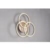 Plafonnier Reality Circle LED Couleur bois, Noir, 1 lumière, Télécommandes