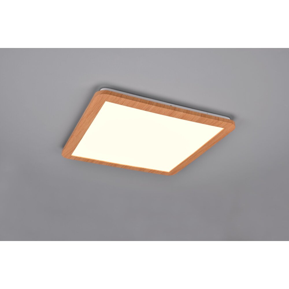 Plafonnier Reality Camillus LED Couleur bois, Blanc, 1 lumière main product photo
