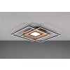 Plafonnier Trio Via LED Couleur bois, Noir, 1 lumière, Télécommandes