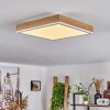 Plafonnier Salmi LED Brun, Couleur bois, Blanc, 1 lumière