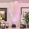 Lampe de table Atabueira LED Noir, 1 lumière, Changeur de couleurs Lampe de table Atabueira LED Noir, 1 lumière, Changeur de couleurs