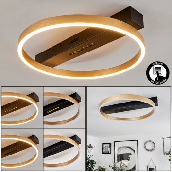 Plafonnier Cajean LED Noir, 1 lumière