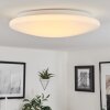 Plafonnier Stungchhveng LED Blanc, 1 lumière