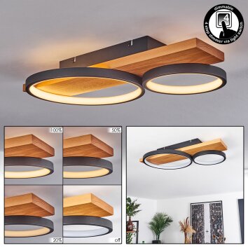 Plafonnier Rodekro LED Écru, Noir, 1 lumière