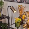 lampe â clipper Javel Noir, 1 lumière