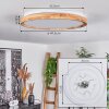 Plafonnier Menthonnex LED Blanc, 1 lumière, Télécommandes