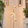 Lampadaire Lavaca LED Laiton, 2 lumières