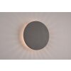 Applique murale d'extérieur Trio Belly LED Anthracite, 1 lumière