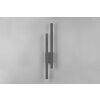 Applique murale d'extérieur Trio Tawa LED Anthracite, 2 lumières