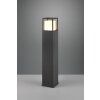 Borne lumineuse Trio Witham LED Anthracite, 1 lumière