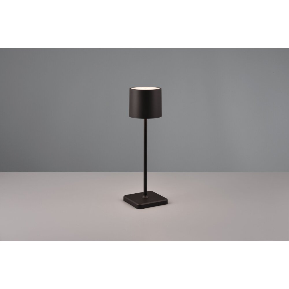 Lampe à poser Reality Fernandez LED Noir, 1 lumière main product photo