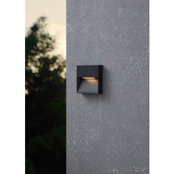 Applique murale d'extérieur Eglo MARUGGIO LED Noir, 1 lumière