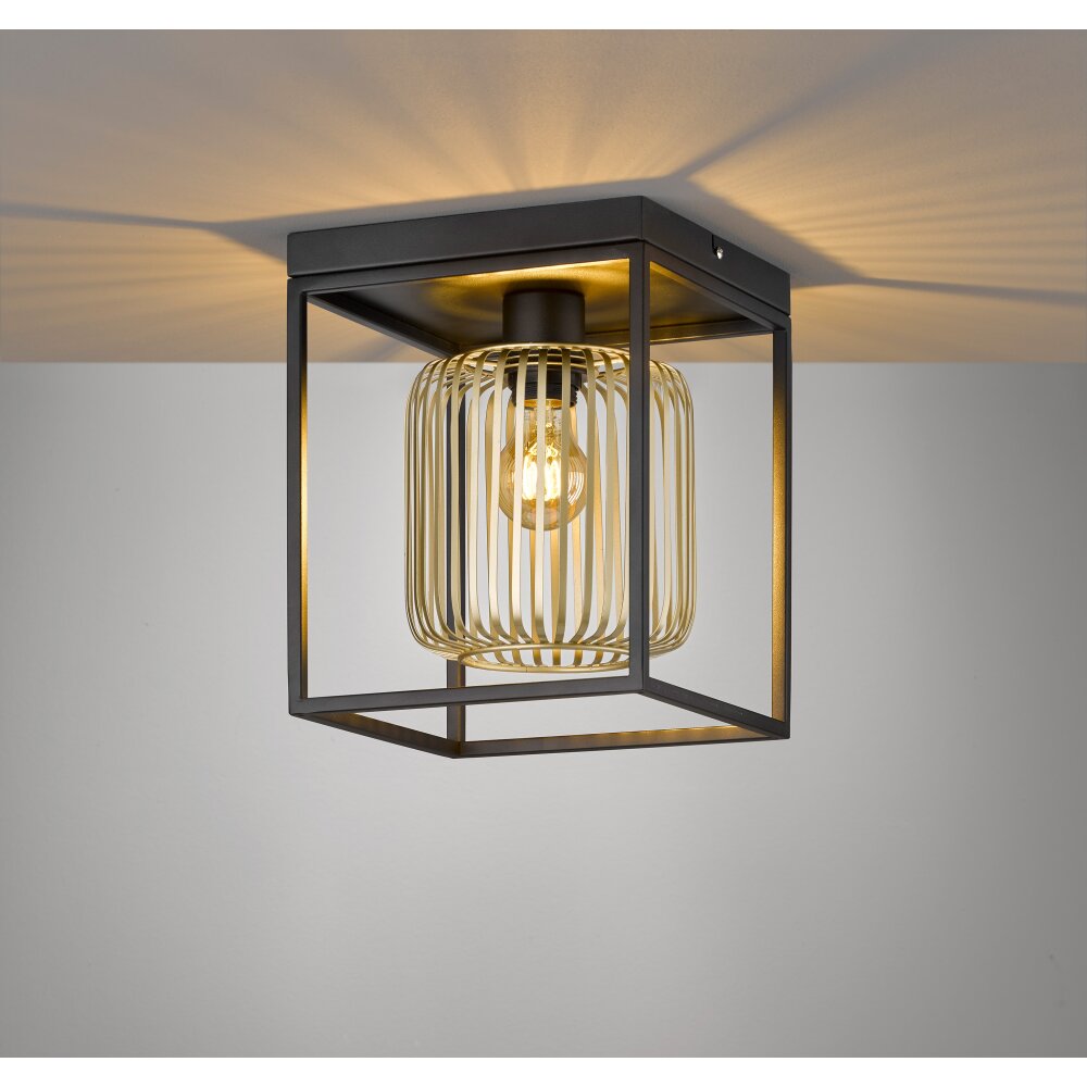 Plafonnier Fischer & Honsel Caydo Noir, 1 lumière main product photo