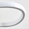 Suspension Pitasch LED Blanc, 1 lumière