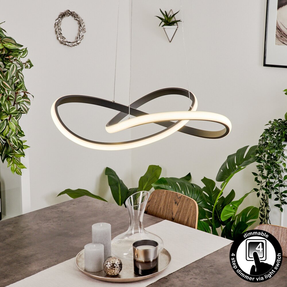 Suspension Pitasch LED Noir, 1 lumière main product photo
