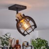 Plafonnier Dandin Noir, 1 lumière