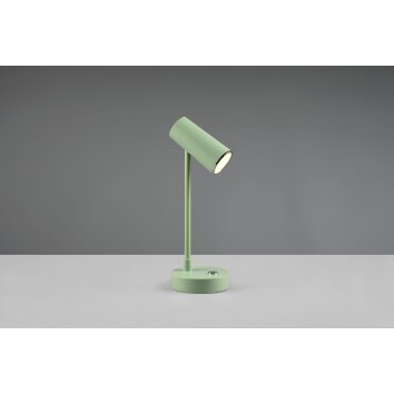 Lampe de table Reality Lenny LED Vert, 1 lumière