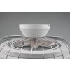 Ventilateur de plafond Reality Sandfjord LED Chrome, 1 lumière, Télécommandes