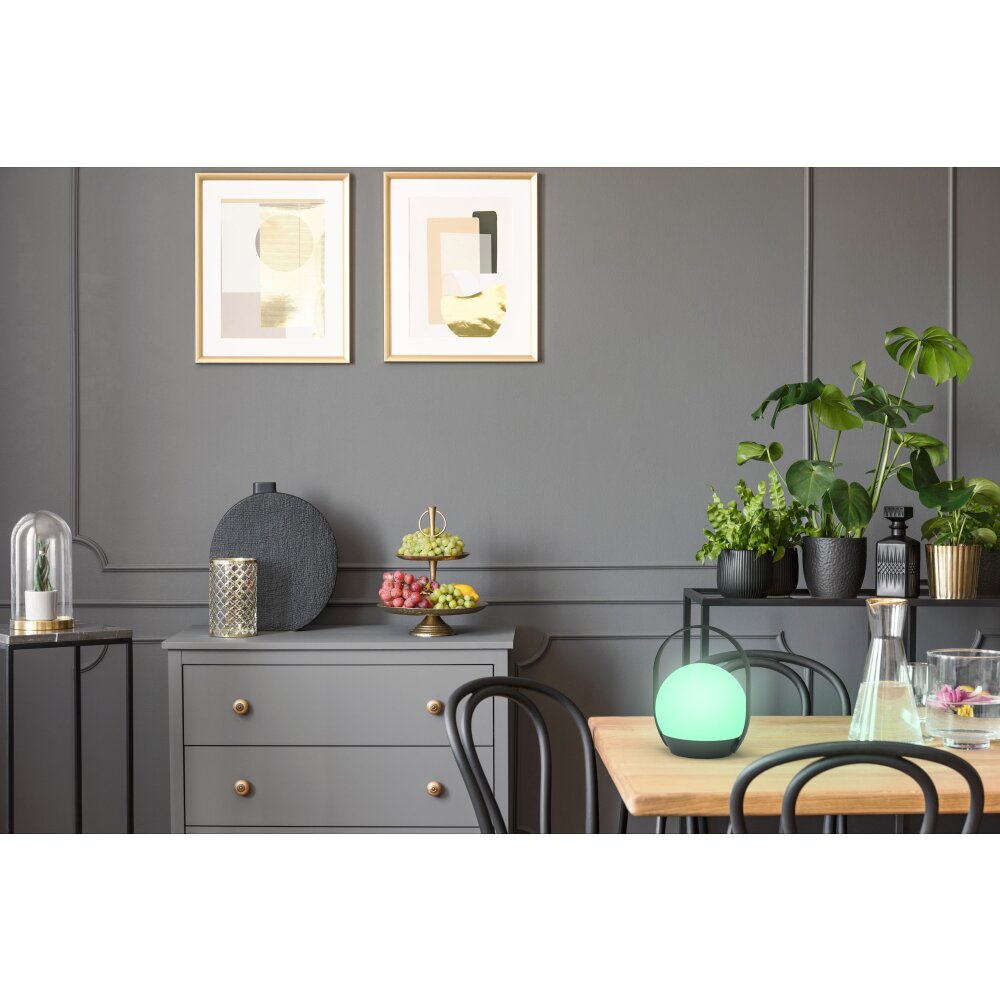 Lampe à poser Lutec Cardi LED Noir, Blanc, 1 lumière, Changeur de couleurs main product photo