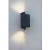 Applique murale d'extérieur Lutec Cypres Anthracite, 2 lumières