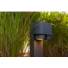 Borne lumineuse Lutec Cypres Anthracite, 2 lumières