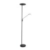 Lampadaire à vasque Steinhauer Daphne LED Noir, 2 lumières