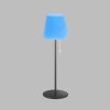 Lampe à poser SCHÖNER WOHNEN-Kollektion Talent LED Anthracite, 1 lumière, Télécommandes, Changeur de couleurs