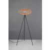 Lampadaire Trio Hedda Noir, 1 lumière