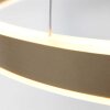 Suspension Steinhauer Ringlux LED Or, 2 lumières