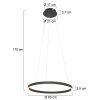 Suspension Steinhauer Ringlux LED Noir, 2 lumières