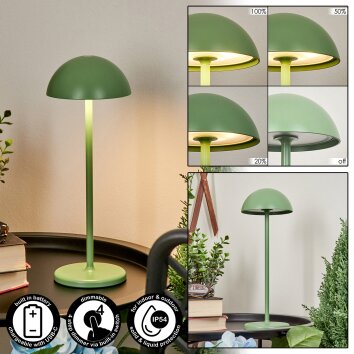 Lampe à poser Pelaro LED Vert, 1 lumière