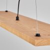 Suspension Adak LED Noir, 1 lumière