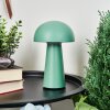 Lampe à poser Telve LED Vert, 1 lumière