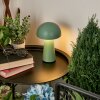 Lampe à poser Telve LED Vert, 1 lumière