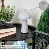 Lampe à poser Telve LED Gris, 1 lumière