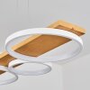 Suspension Rodekro LED Blanc, 1 lumière