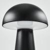 Lampe à poser Telve LED Noir, 1 lumière