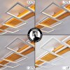 Plafonnier Pompu LED Blanc, 1 lumière