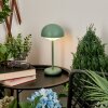 Lampe à poser Bellange LED Vert, 1 lumière