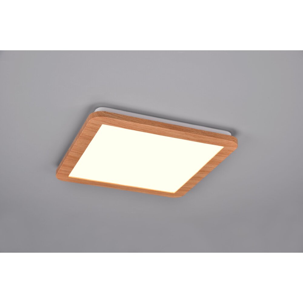 Plafonnier Reality Camillus LED Couleur bois, Blanc, 1 lumière main product photo