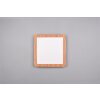 Plafonnier Reality Camillus LED Couleur bois, Blanc, 1 lumière