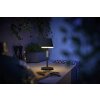 Lampe à poser Philips Hue Go LED Gris, Noir, 1 lumière, Changeur de couleurs