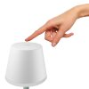 Lampe à poser Philips Hue Go LED Vert, Blanc, 1 lumière, Changeur de couleurs