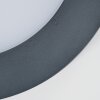 plafonnier extérieur Durivier LED Anthracite, 1 lumière plafonnier extérieur Durivier LED Anthracite, 1 lumière